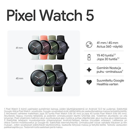 Google Pixel Watch 5 41 mm WiFi