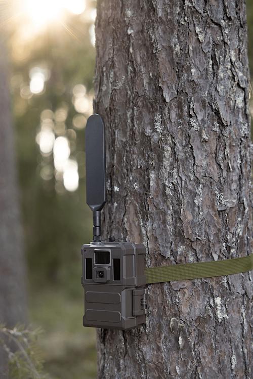 Burrel S22WA -riistakamera