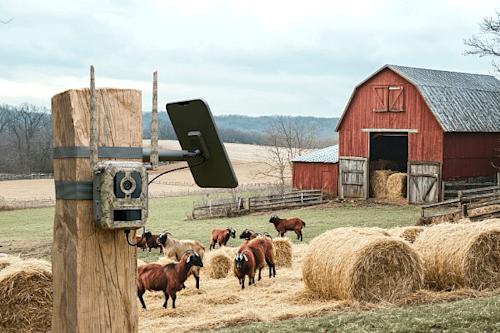 Reolink Talon Pro Camovue 4K -riistakamera