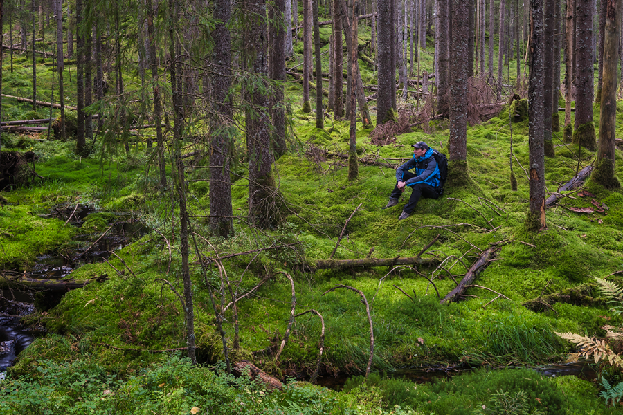 Henkilö istuu metsässä sammaleisella maalla puun vieressä, ympärillä tiheä havumetsä ja pieni puro.