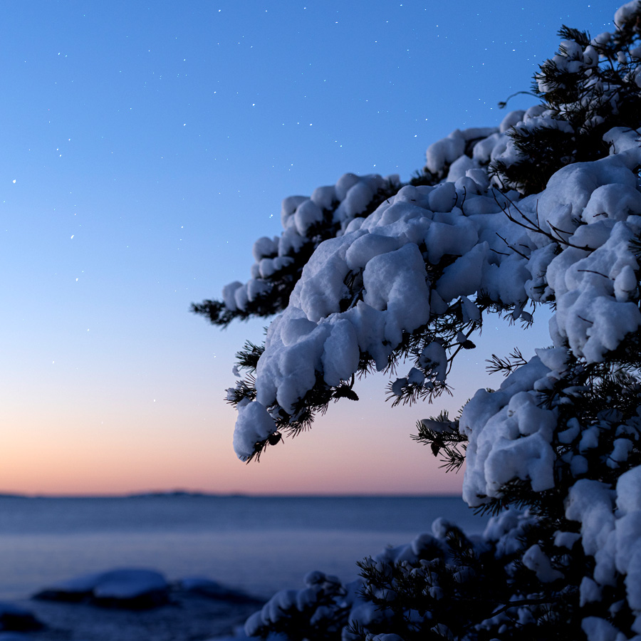 Hyvää itsenäisyyspäivää!