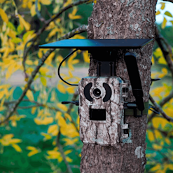 Retki Riistakamera 4G Pro