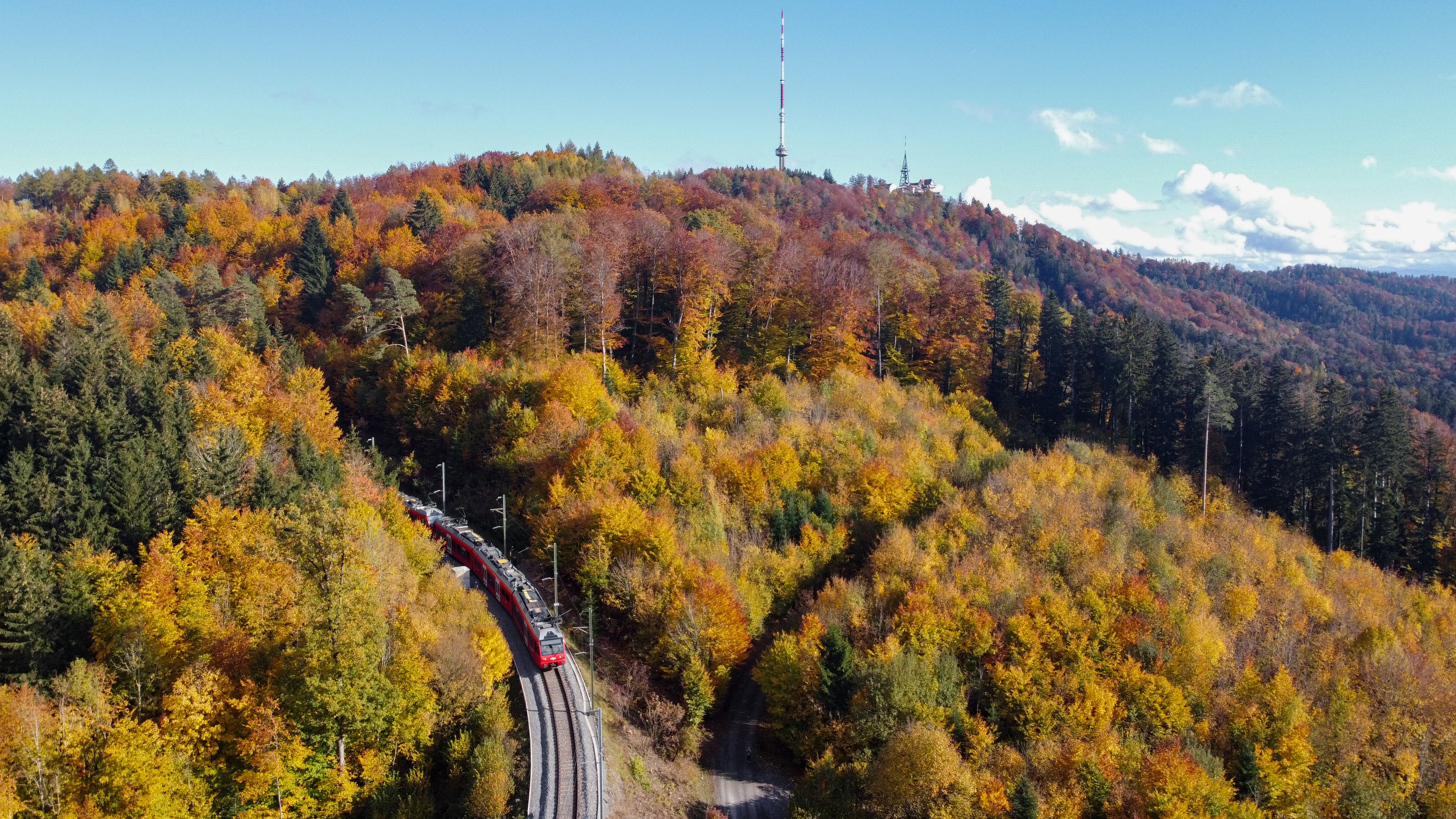 Autumn view with a train