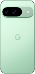 Google Pixel 9 5G 256GB Wintergreen