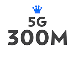 Elisa Yritysdata 5G (300M)