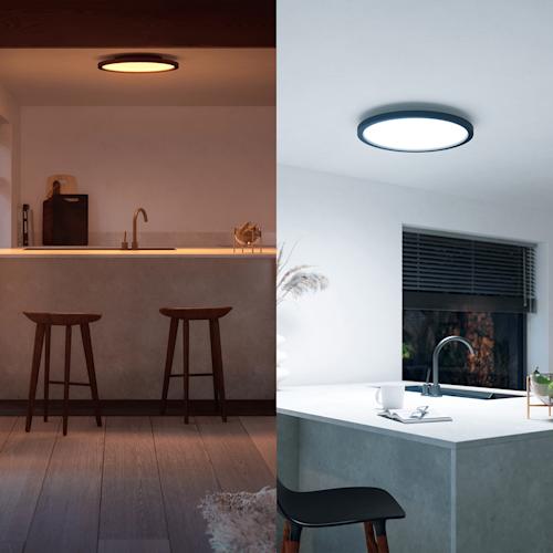 Philips Hue Aurelle paneelivalaisin pieni