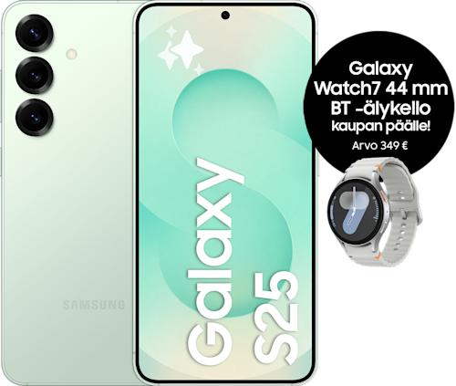 Samsung Galaxy S25 5G 256 Gt