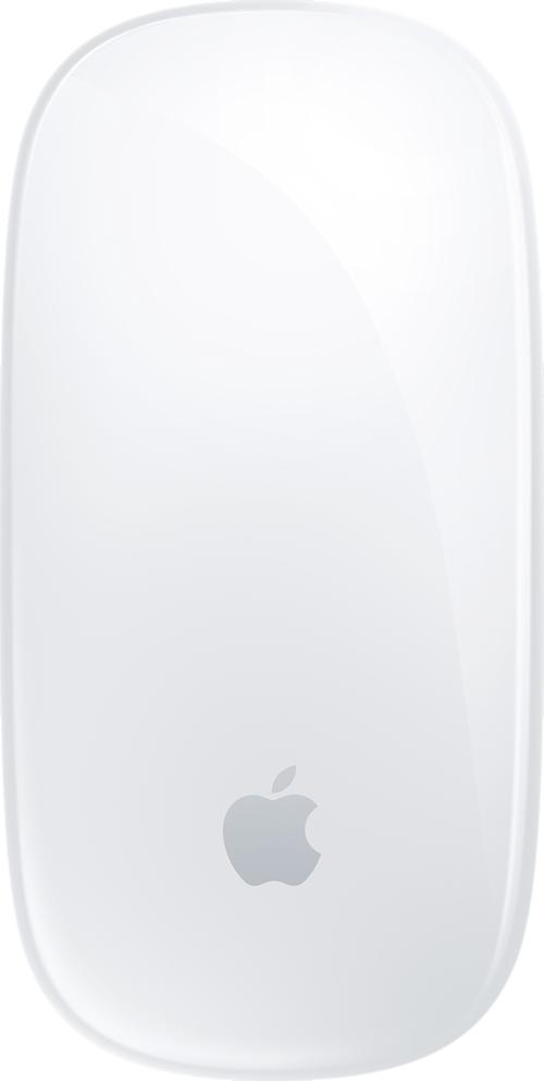 Apple Magic Mouse (USB-C) Multi-Touch-pinta