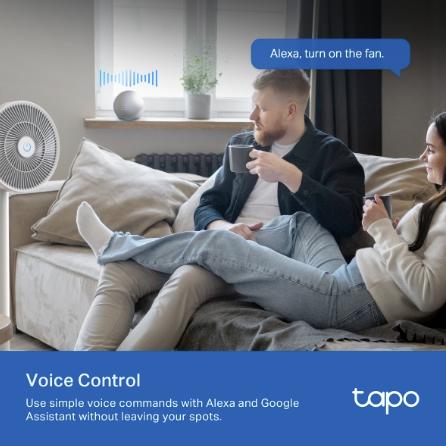 TP-Link Tapo P100 älypistorasia 1p