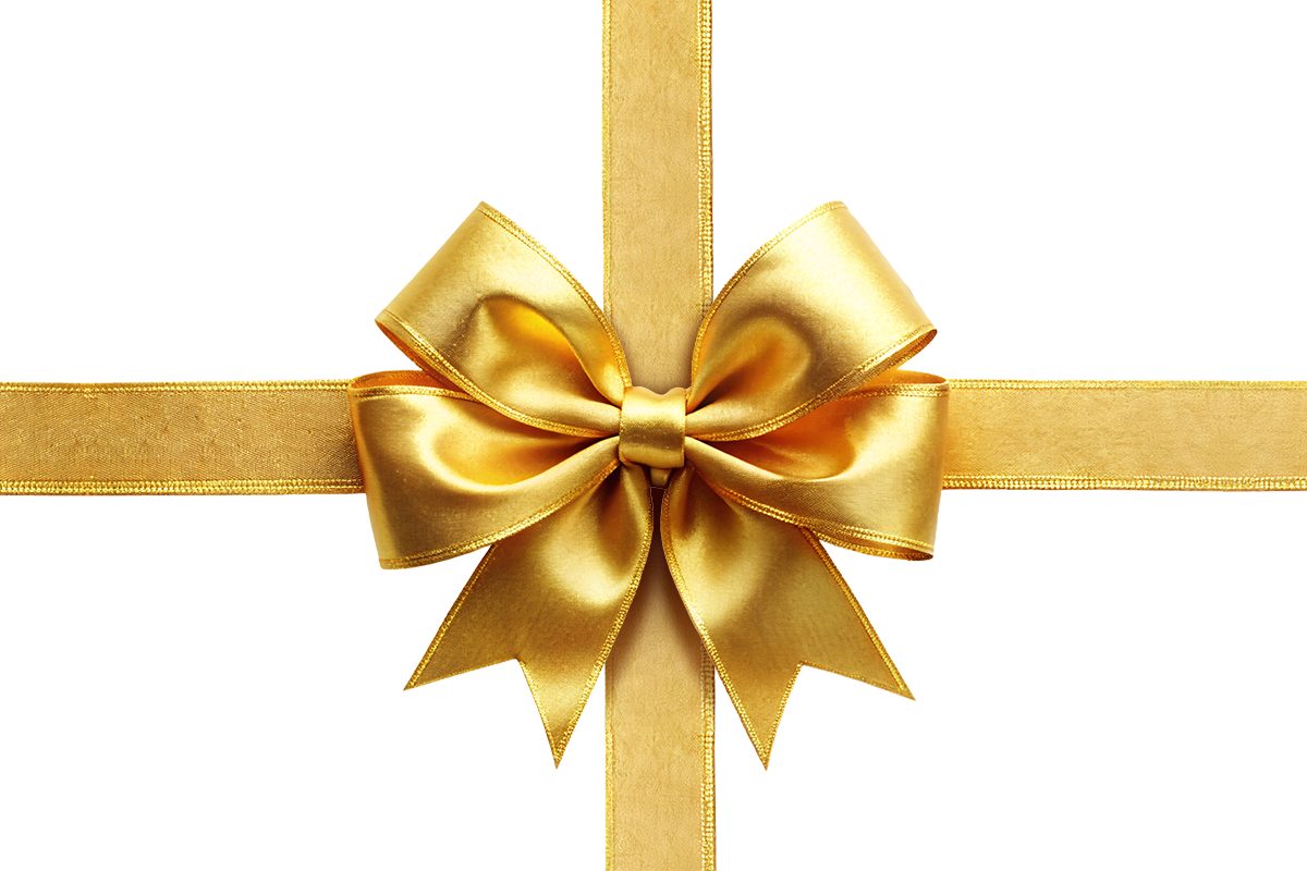 Voita Elisa Lahjakortti