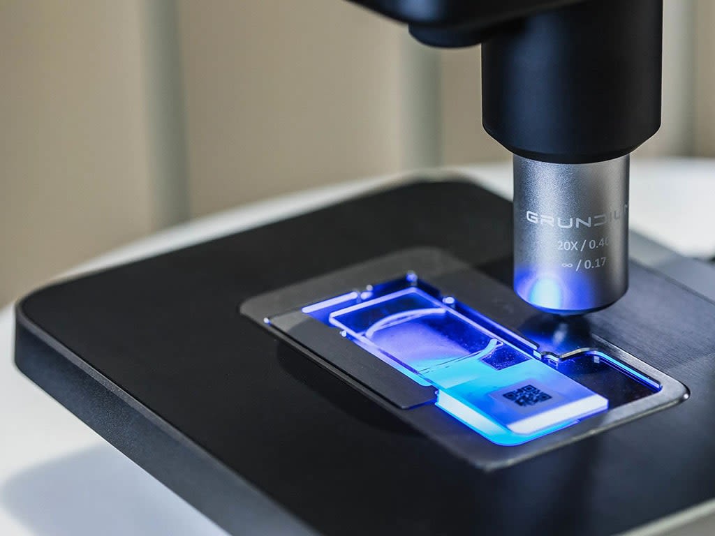 Sote-alan demot Elisa Showroomissa