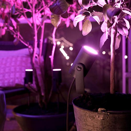 Philips Hue Lily Outdoor -ulkokohdevalaisin 3 kpl