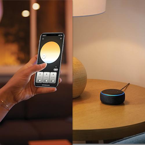 Philips Hue Enrave-kattovalaisin Pieni