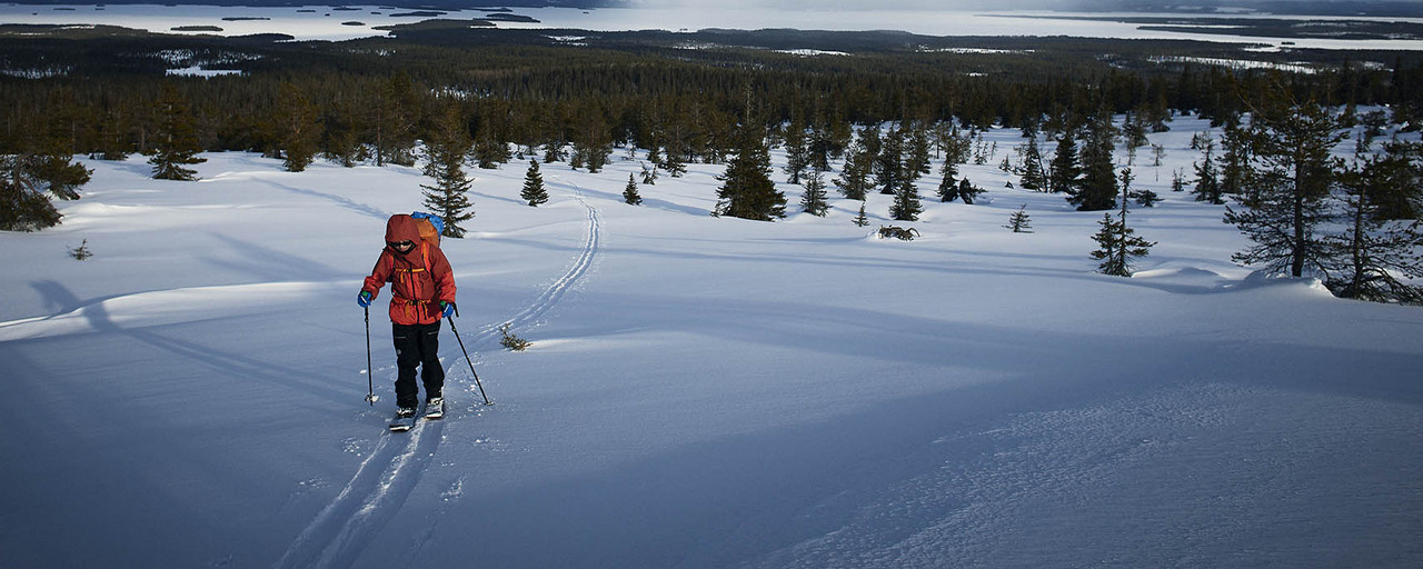 Skier in Lapland