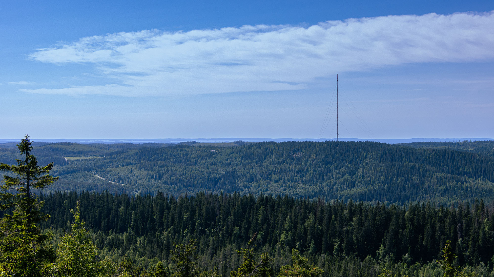 Finnish forest with a base station