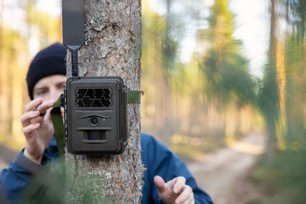 Riistakamera kiinni puussa
