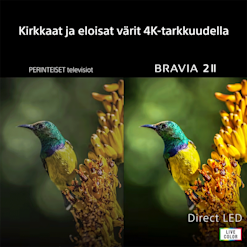 Sony Bravia 2 MK2 55 tuumainen LED Google TV