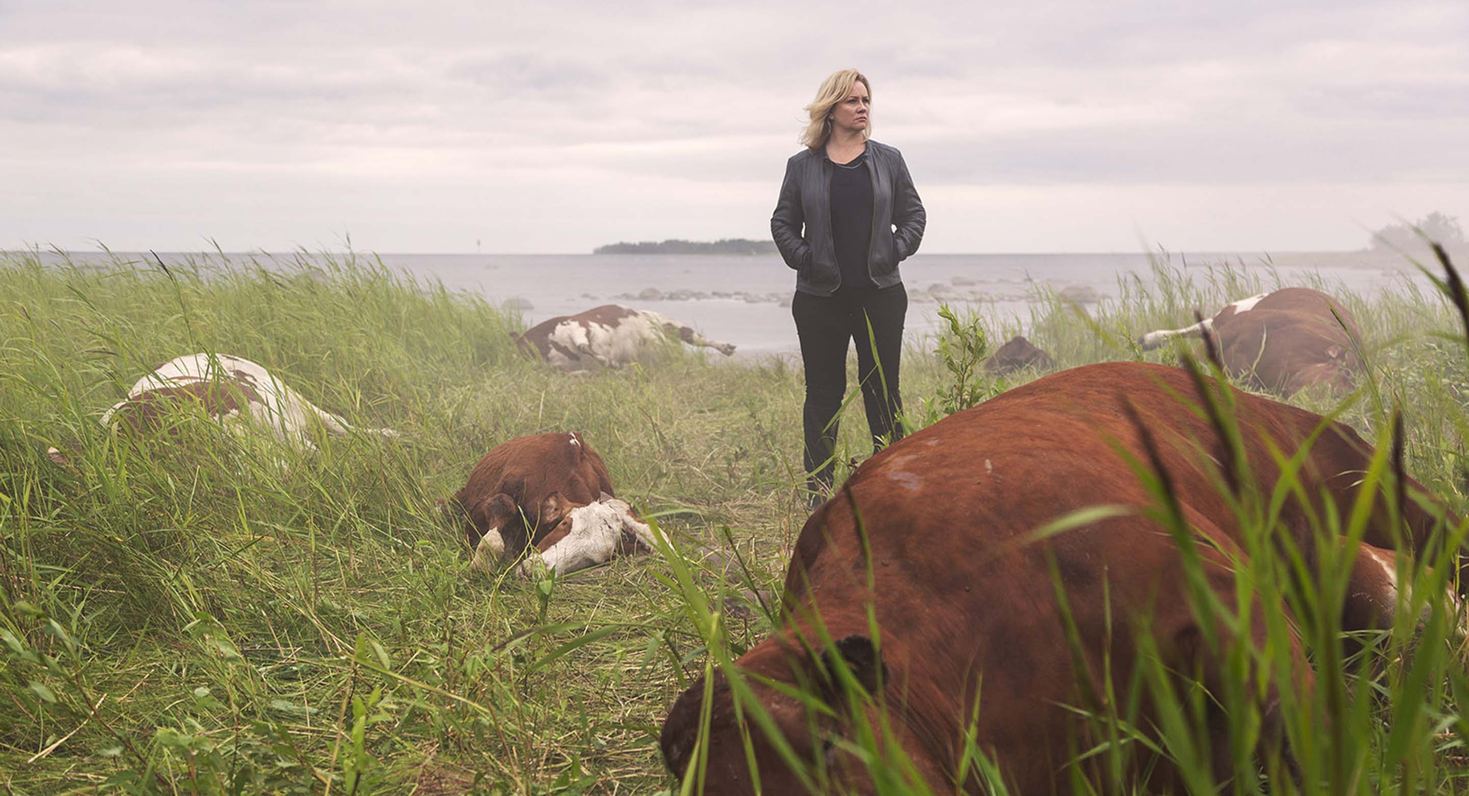 Kaikki synnit Elisa viihde