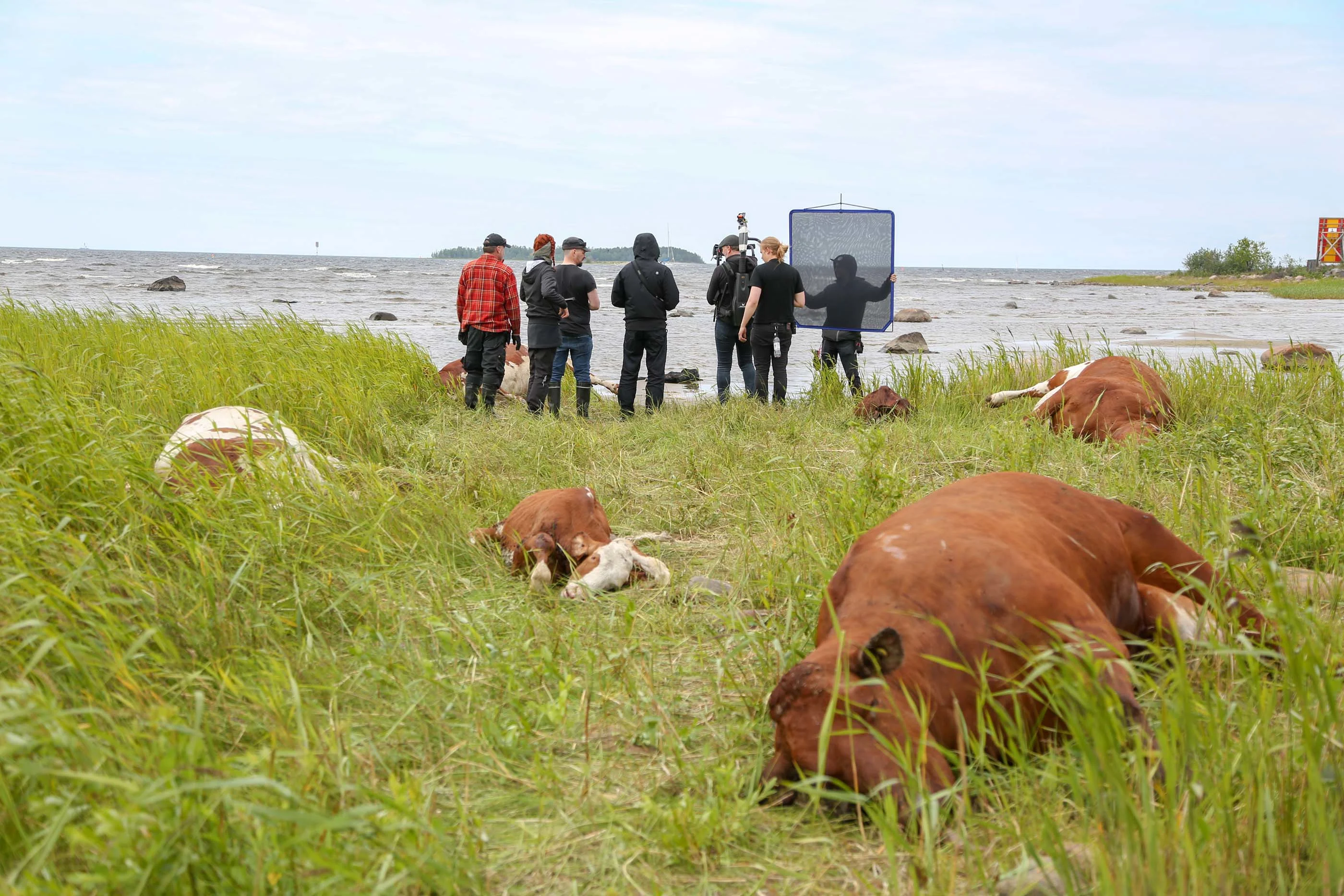 Kaikki synnit Elisa viihde