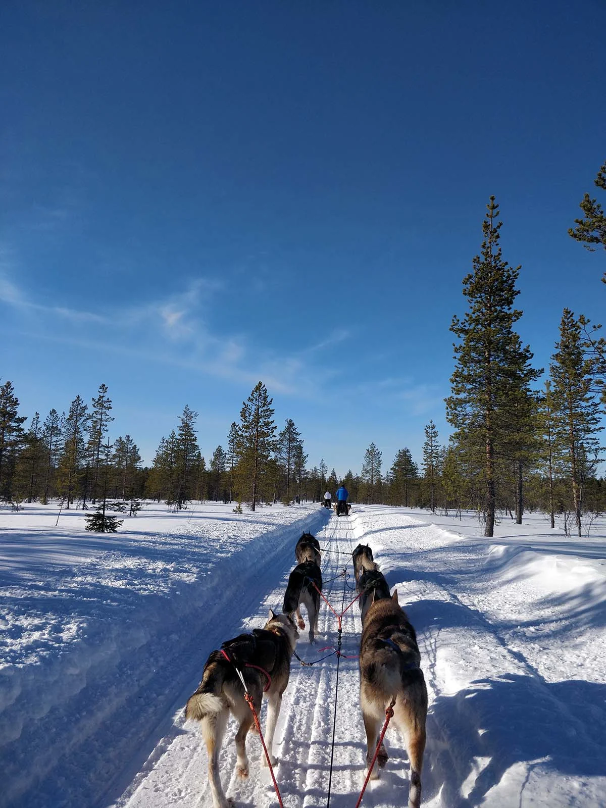 Etätyö Lapissa
