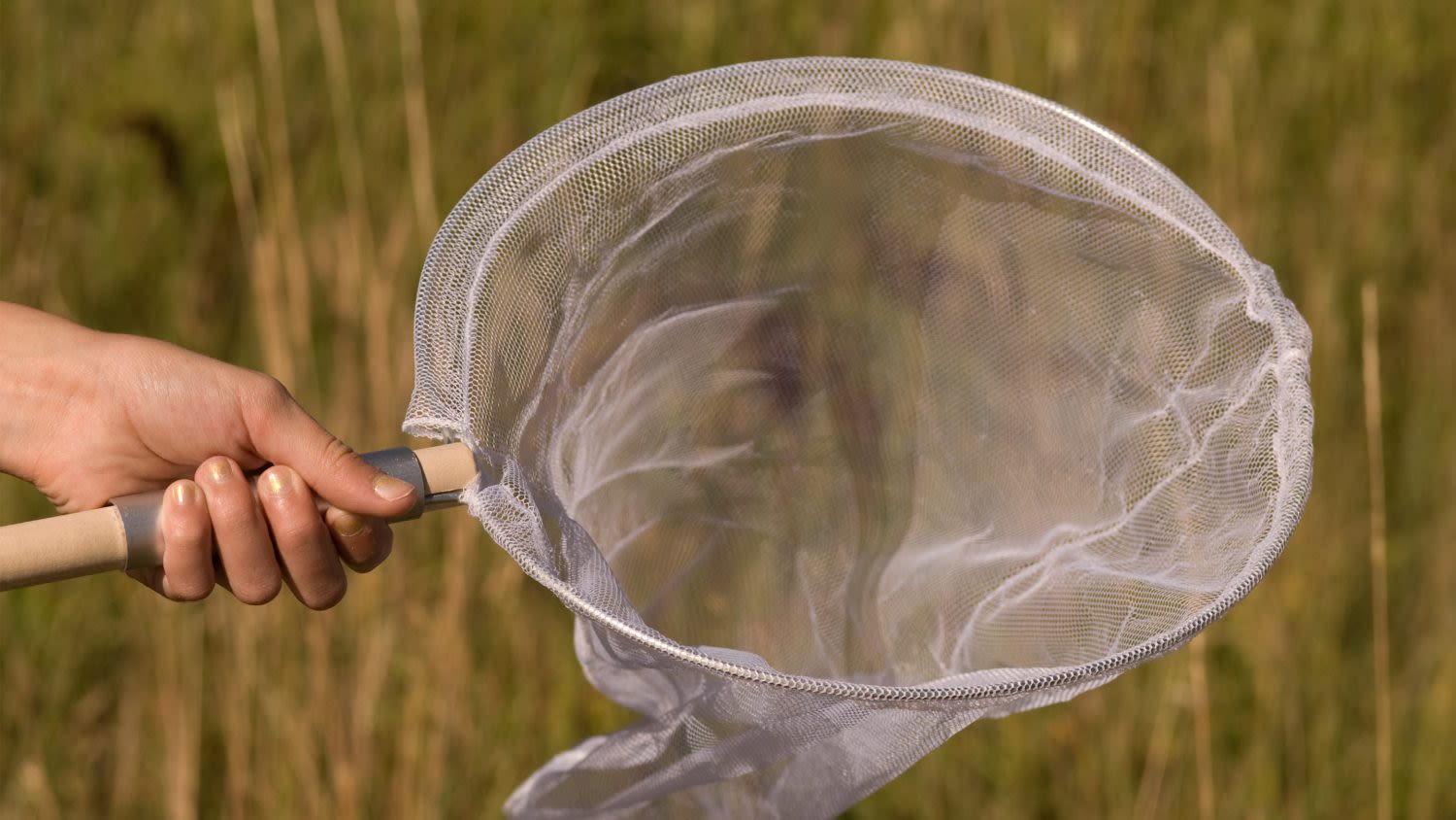 Haavi torjuu harmaata taloutta