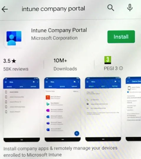 Intune Company Portal