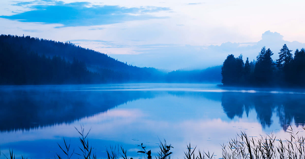 Avainlippu-merkki viestii Elisan palveluiden kotimaisuudesta 